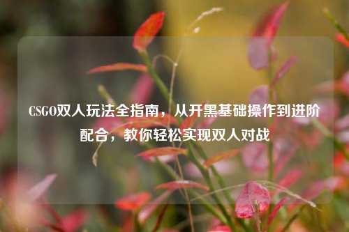CSGO双人玩法全指南,从开黑基础操作到进阶配合,教你轻松实现双人对战