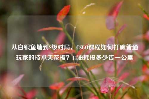从白银鱼塘到S级对局,CSGO课程如何打破普通玩家的技术天花板?14油耗投多少钱一公里