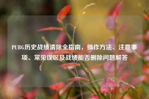 PUBG历史战绩清除全指南，操作方法、注意事项、常见误区及战绩能否删除问题解答
