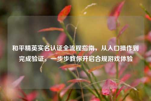 和平精英实名认证全流程指南，从入口操作到完成验证，一步步教你开启合规游戏体验