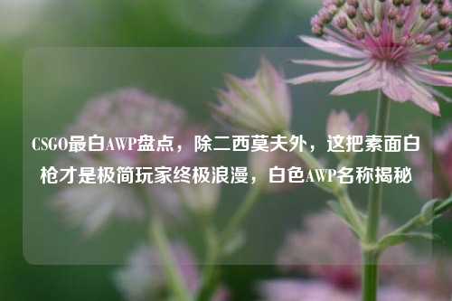 CSGO最白AWP盘点,除二西莫夫外,这把素面白枪才是极简玩家终极浪漫,白色AWP名称揭秘