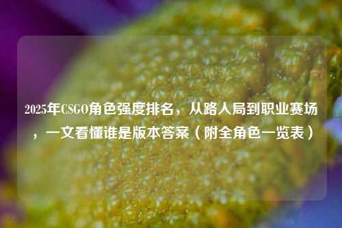 2025年CSGO角色强度排名，从路人局到职业赛场，一文看懂谁是版本答案（附全角色一览表）