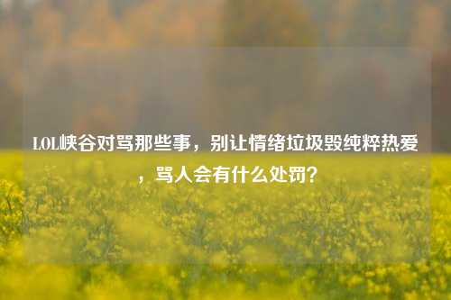 LOL峡谷对骂那些事,别让情绪垃圾毁纯粹热爱,骂人会有什么处罚?