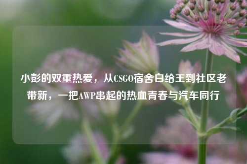 小彭的双重热爱，从CSGO宿舍白给王到社区老带新，一把AWP串起的热血青春与汽车同行