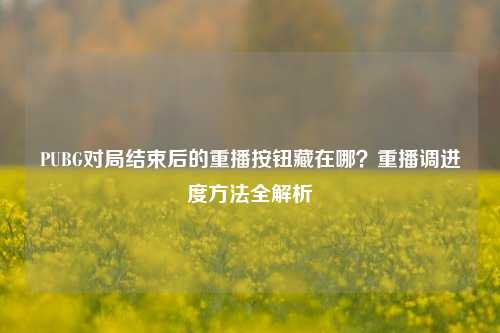 PUBG对局结束后的重播按钮藏在哪？重播调进度方法全解析