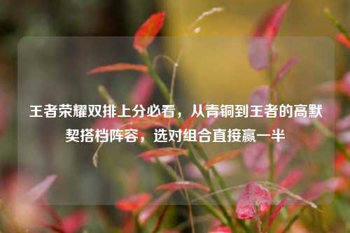 王者荣耀双排上分必看，从青铜到王者的高默契搭档阵容，选对组合直接赢一半