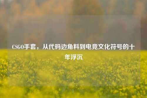 CSGO手套,从代码边角料到电竞文化符号的十年浮沉