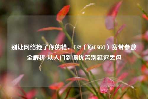 别让网络拖了你的枪,CS2(原CSGO)宽带参数全解析 从入门到调优告别延迟丢包