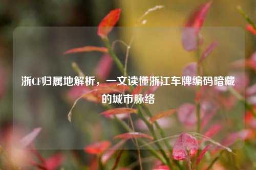 浙CF归属地解析，一文读懂浙江车牌编码暗藏的城市脉络