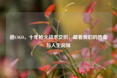 道CSGO，十年枪火战术交织，藏着我们的热血与人生况味