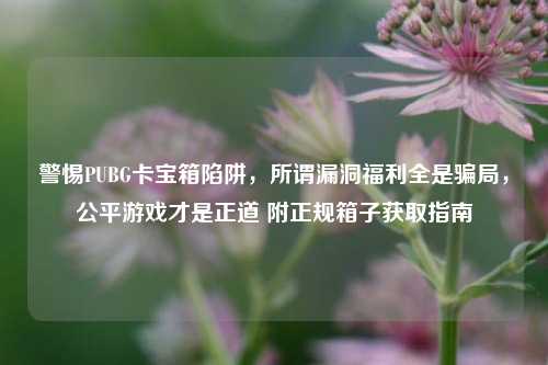 警惕PUBG卡宝箱陷阱，所谓漏洞福利全是骗局，公平游戏才是正道 附正规箱子获取指南