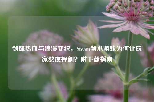 剑锋热血与浪漫交织，Steam剑术游戏为何让玩家熬夜挥剑？附下载指南