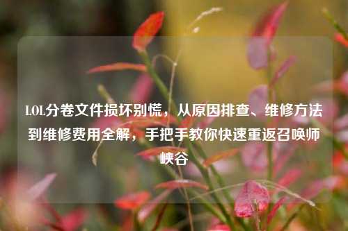 LOL分卷文件损坏别慌,从原因排查、维修方法到维修费用全解,手把手教你快速重返召唤师峡谷