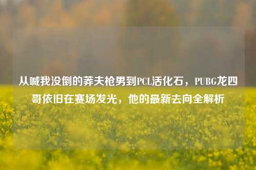从喊我没倒的莽夫枪男到PCL活化石，PUBG龙四哥依旧在赛场发光，他的最新去向全解析