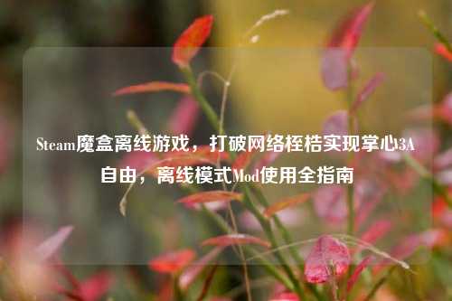 Steam魔盒离线游戏，打破网络桎梏实现掌心3A自由，离线模式Mod使用全指南