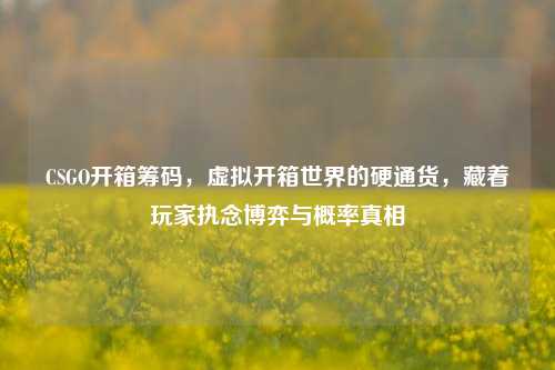 CSGO开箱筹码，虚拟开箱世界的硬通货，藏着玩家执念博弈与概率真相