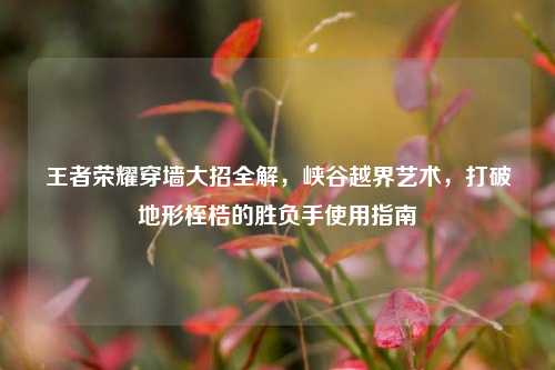 王者荣耀穿墙大招全解,峡谷越界艺术,打破地形桎梏的胜负手使用指南