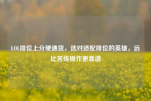 LOL排位上分硬通货,选对适配排位的英雄,远比苦练操作更靠谱