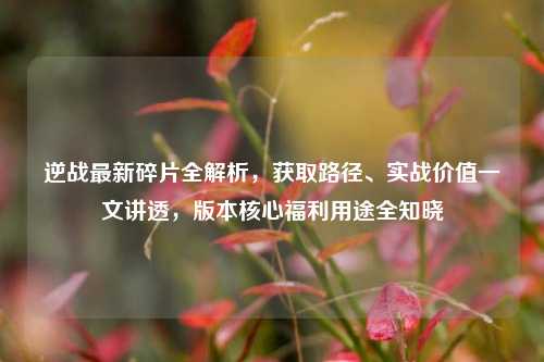 逆战最新碎片全解析，获取路径、实战价值一文讲透，版本核心福利用途全知晓