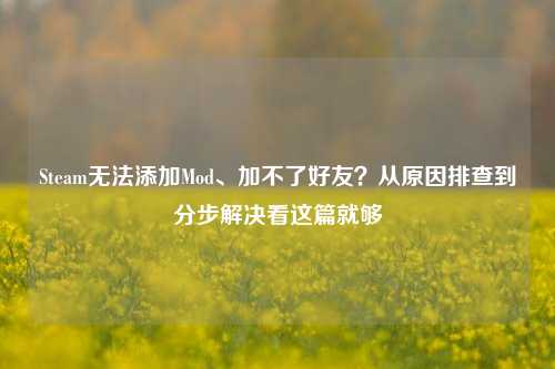 Steam无法添加Mod、加不了好友?从原因排查到分步解决看这篇就够