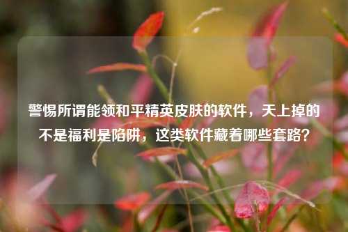 警惕所谓能领和平精英皮肤的软件,天上掉的不是福利是陷阱,这类软件藏着哪些套路?