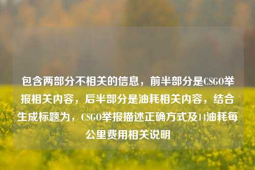 包含两部分不相关的信息,前半部分是CSGO举报相关内容,后半部分是油耗相关内容,结合生成标题为,CSGO举报描述正确方式及14油耗每公里费用相关说明