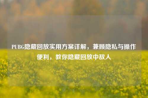 PUBG隐藏回放实用方案详解，兼顾隐私与操作便利，教你隐藏回放中敌人
