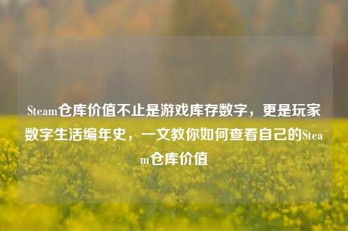 Steam仓库价值不止是游戏库存数字,更是玩家数字生活编年史,一文教你如何查看自己的Steam仓库价值
