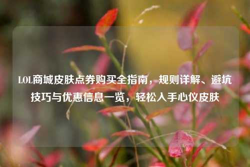 LOL商城皮肤点券购买全指南,规则详解、避坑技巧与优惠信息一览,轻松入手心仪皮肤