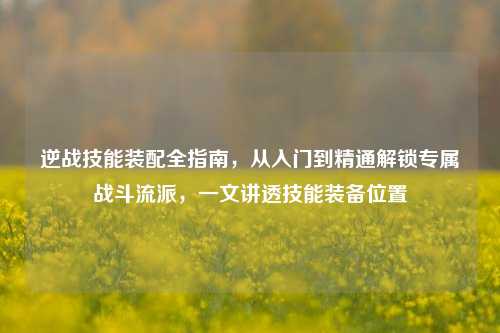 逆战技能装配全指南,从入门到精通解锁专属战斗流派,一文讲透技能装备位置