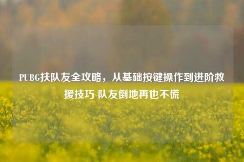PUBG扶队友全攻略,从基础按键操作到进阶救援技巧 队友倒地再也不慌