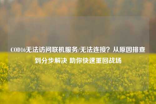 COD16无法访问联机服务/无法连接?从原因排查到分步解决 助你快速重回战场
