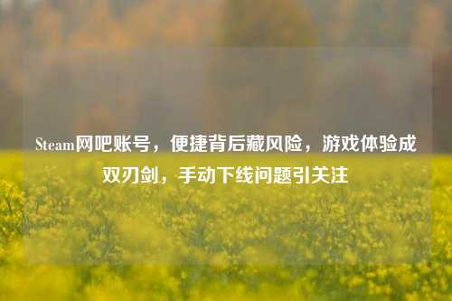 Steam网吧账号,便捷背后藏风险,游戏体验成双刃剑,手动下线问题引关注