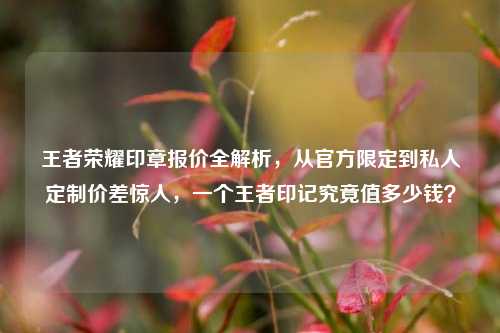 王者荣耀印章报价全解析,从官方限定到私人定制价差惊人,一个王者印记究竟值多少钱?