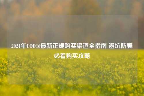 2024年COD16最新正规购买渠道全指南 避坑防骗必看购买攻略