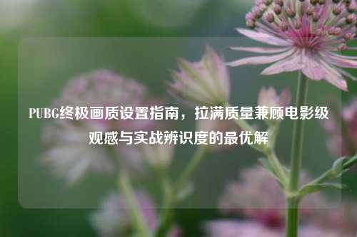 PUBG终极画质设置指南,拉满质量兼顾电影级观感与实战辨识度的最优解