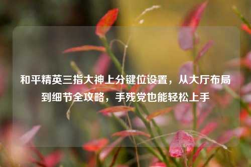 和平精英三指大神上分键位设置,从大厅布局到细节全攻略,手残党也能轻松上手