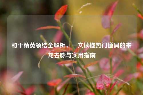 和平精英领结全解析，一文读懂热门道具的来龙去脉与实用指南