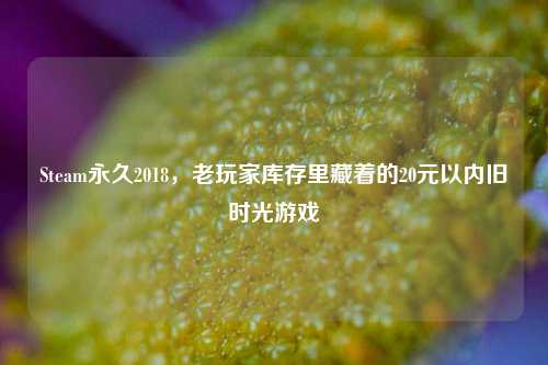 Steam永久2018，老玩家库存里藏着的20元以内旧时光游戏