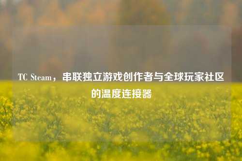 TC Steam,串联独立游戏创作者与全球玩家社区的温度连接器