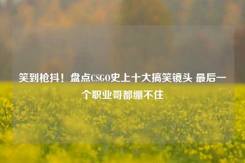 笑到枪抖!盘点CSGO史上十大搞笑镜头 最后一个职业哥都绷不住