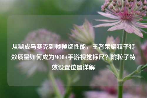从糊成马赛克到帧帧烧性能，王者荣耀粒子特效质量如何成为MOBA手游视觉标尺？附粒子特效设置位置详解