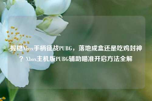 握稳Xbox手柄征战PUBG，落地成盒还是吃鸡封神？Xbox主机版PUBG辅助瞄准开启方法全解