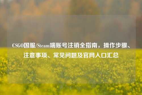 CSGO国服/Steam端账号注销全指南,操作步骤、注意事项、常见问题及官网入口汇总