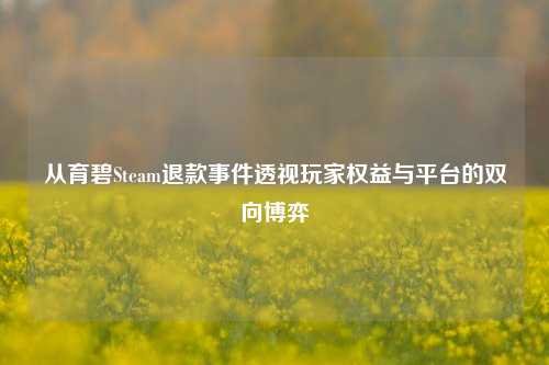 从育碧Steam退款事件透视玩家权益与平台的双向博弈