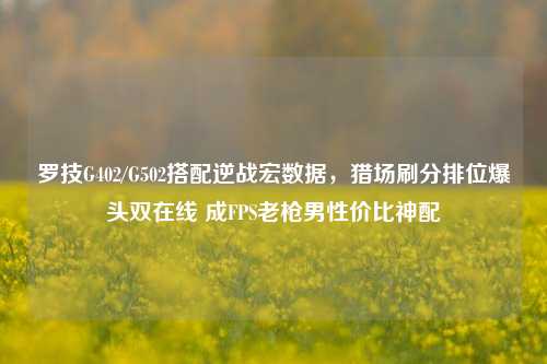 罗技G402/G502搭配逆战宏数据，猎场刷分排位爆头双在线 成FPS老枪男性价比神配
