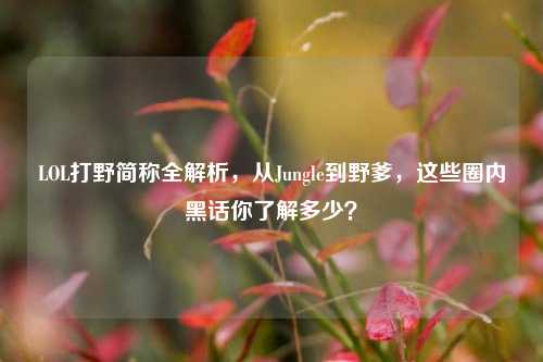 LOL打野简称全解析，从Jungle到野爹，这些圈内黑话你了解多少？