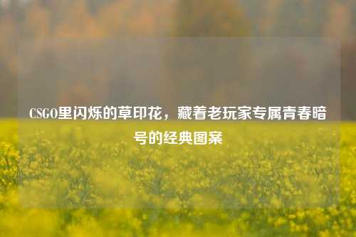 CSGO里闪烁的草印花，藏着老玩家专属青春暗号的经典图案