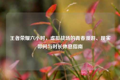 王者荣耀六小时，虚拟战场的青春漫游、现实叩问与时长休息指南