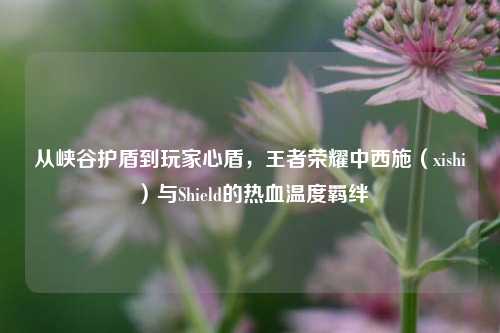 从峡谷护盾到玩家心盾,王者荣耀中西施(xishi)与Shield的热血温度羁绊